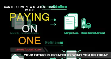 Student Loan Options While Paying Off Existing Debt