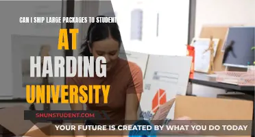 Shipping Large Packages to Harding University Students: Is It Possible?