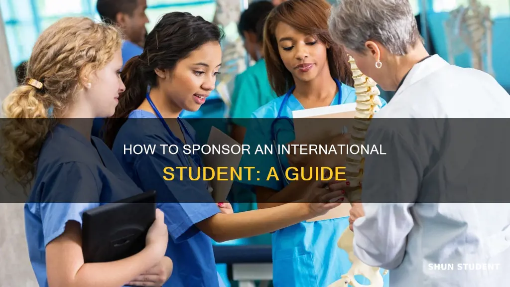 can i sponsor an international student