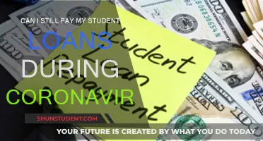 Student Loans: Repayment Options During Coronavirus