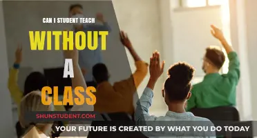 Exploring Student Teaching Alternatives: Options Beyond Traditional Classroom Settings
