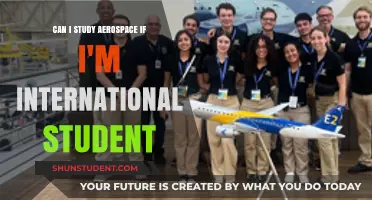 Aerospace Studies: International Student Opportunities