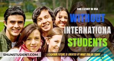Studying in the USA: An Alternative Pathway for Non-International Students