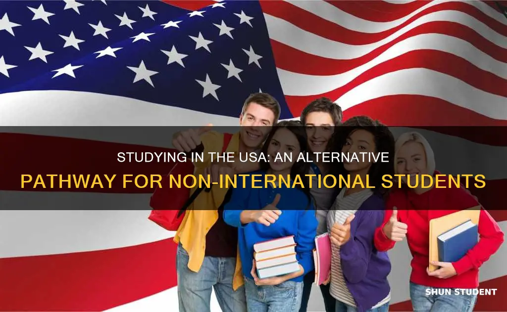 can i study in usa without international students