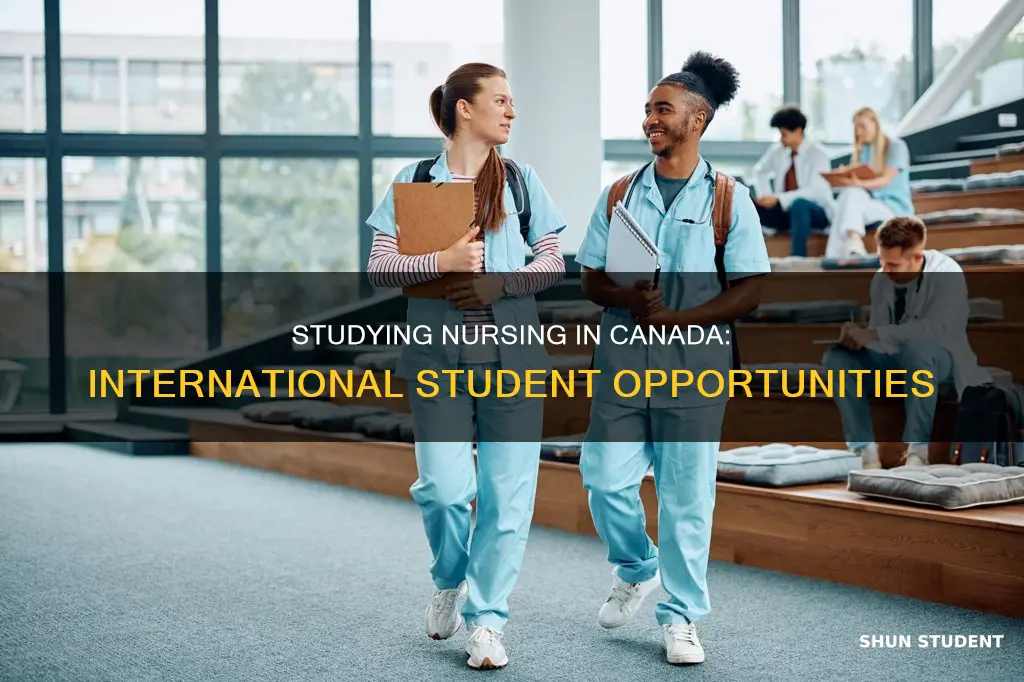 can i study nursing in canada as an international student
