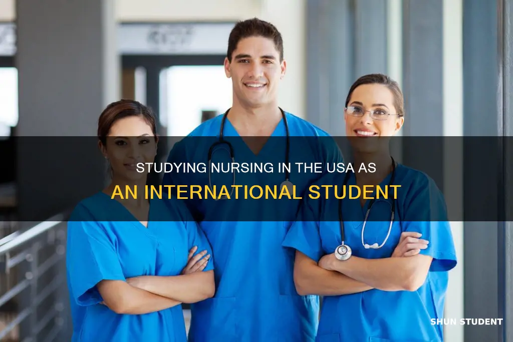 can i study nursing in usa as an international student