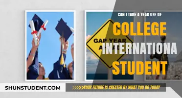 Taking a Gap Year: International Student Edition