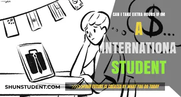 International Students: Can We Take Extra Work Hours?