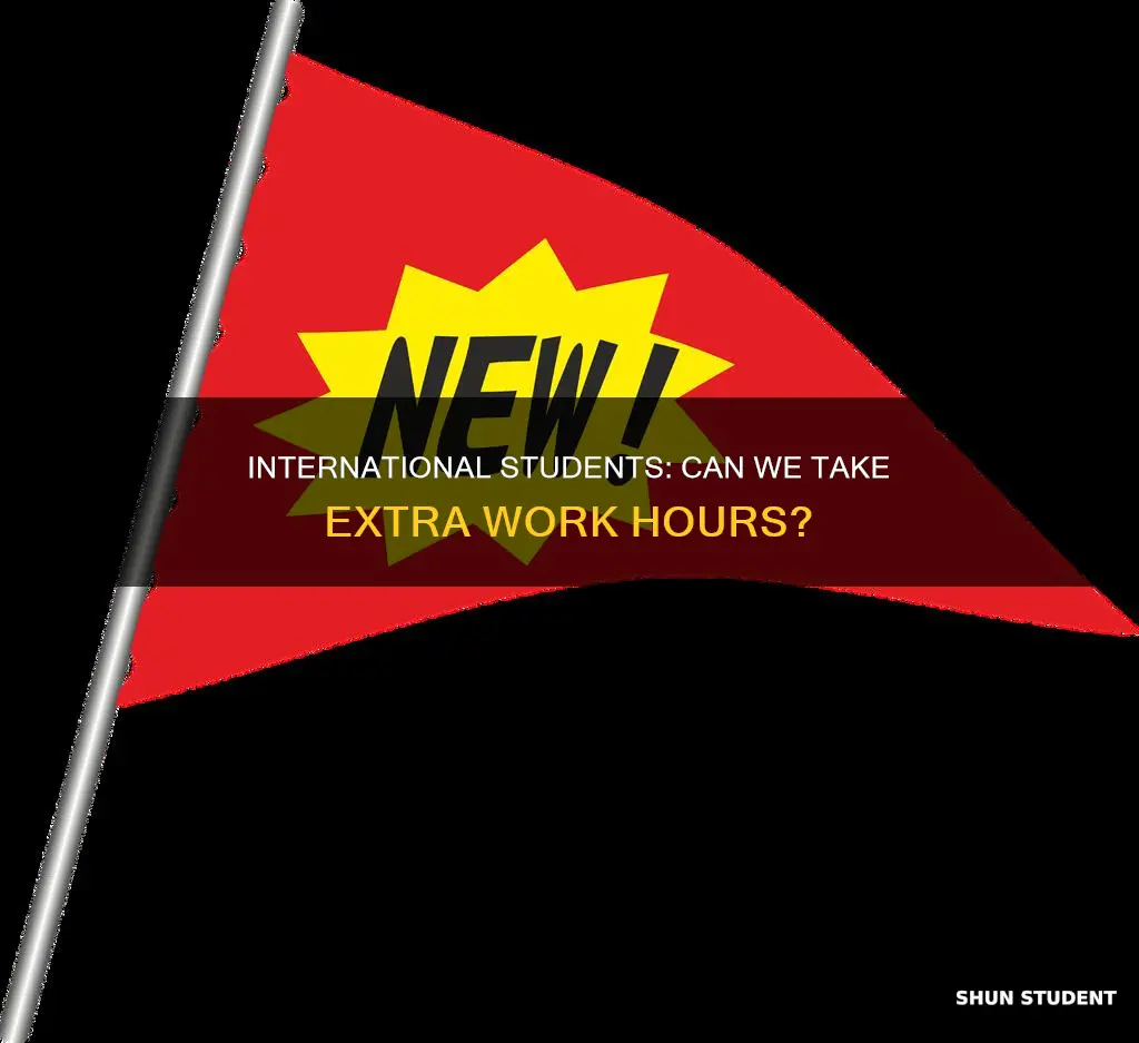 can i take extra hours if im a international student