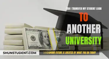 Transferring Student Loans: University Switch Impact Explored