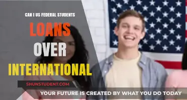 International Students: Accessing US Federal Loans