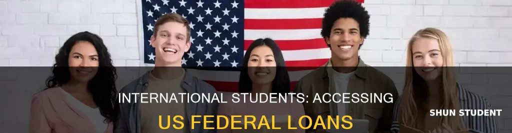 can i us federal students loans over international