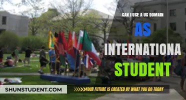 Using US Domains: International Students' Guide