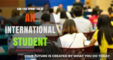 How International Students Can Claim Sprint Tax