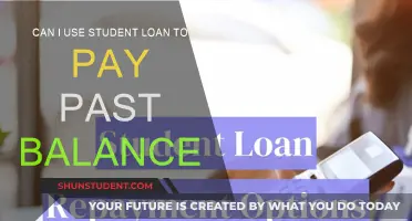 Student Loans: Can You Pay Off Past Balances?
