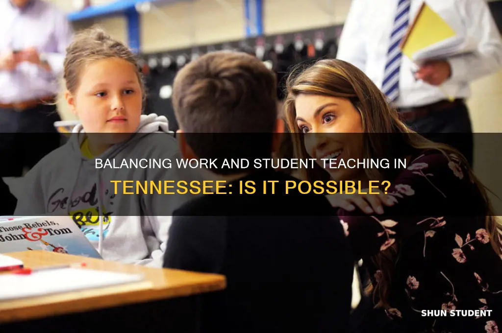 can i work a job while student teaching in tennessee