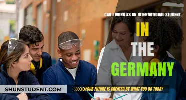 Working in Germany as an International Student: What You Need to Know