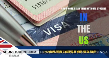 Working in the US as an International Student