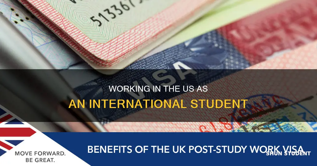 can i work as an international student in the us