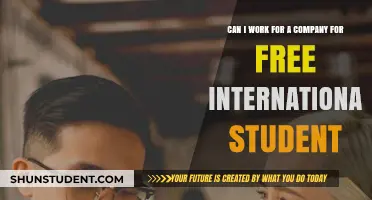 How International Students Can Gain Work Experience