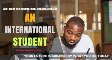 Working for International Organizations: Options for International Students