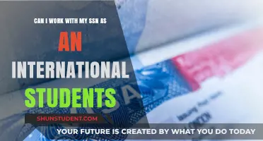 Working with SSN: International Students' Guide