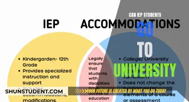 Navigating University Options for IEP Students