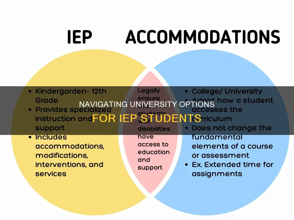 can iep students go to university