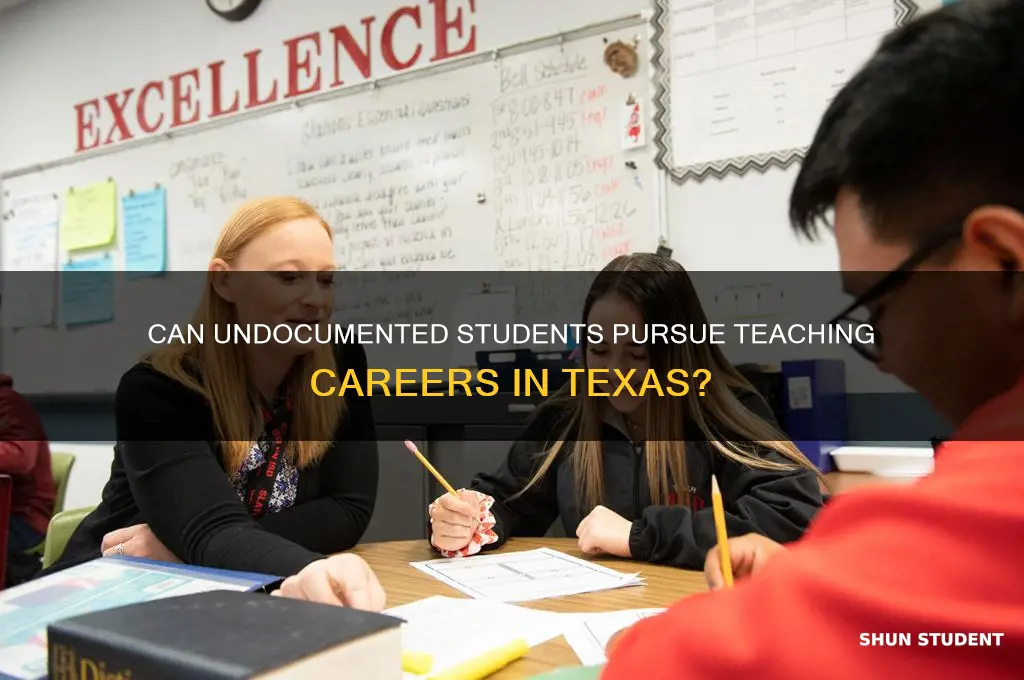 can illegal college students become a teacher in texas