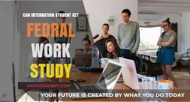 International Students: Accessing Federal Work-Study Programs