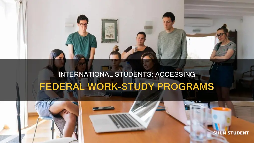 can internation student get fedral work study