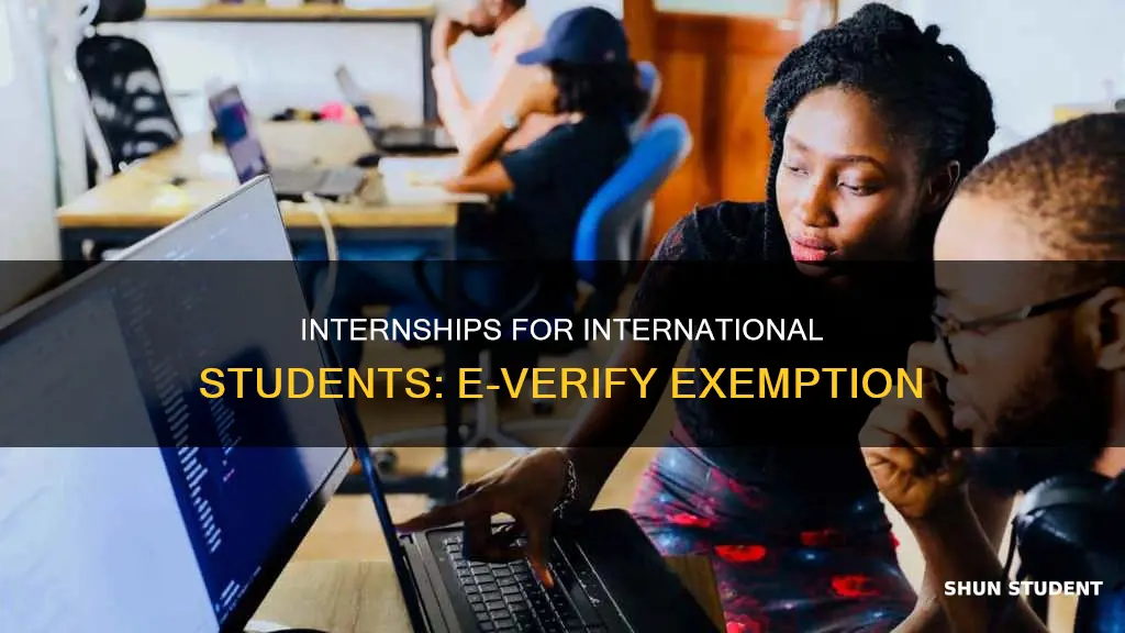 can internation student intern in non e verified