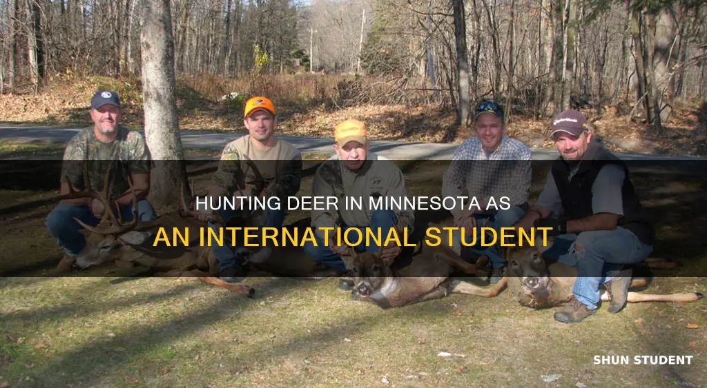 can internation students hunt deer in mn