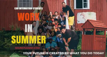 Working Summer Jobs: A Guide for International Students