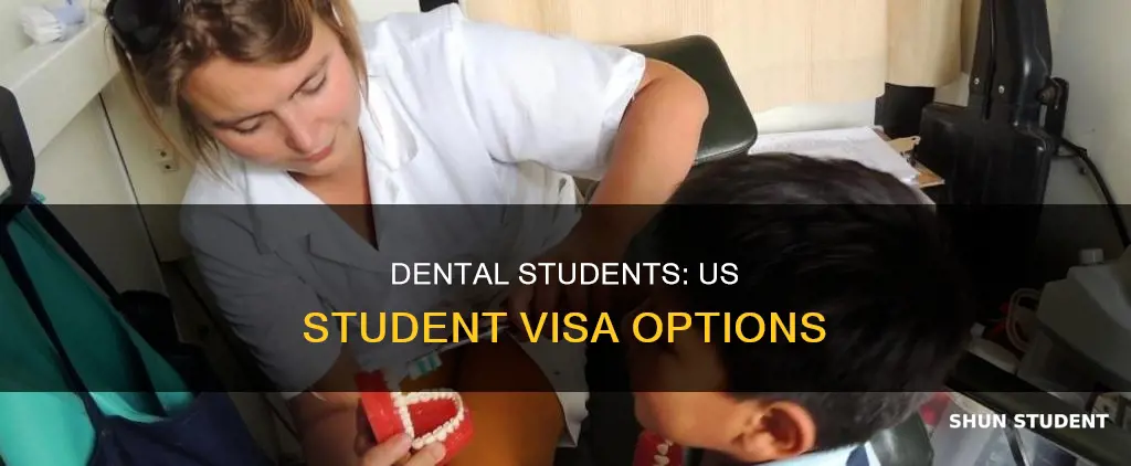 can international dental students apply for student visa in usa