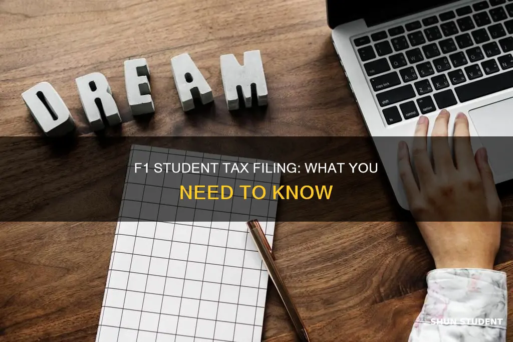 can international f1 students file taxes