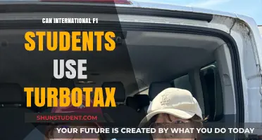 International F1 Students: Can They TurboTax?