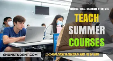 Teaching Summer Courses: International Grad Students' Opportunities