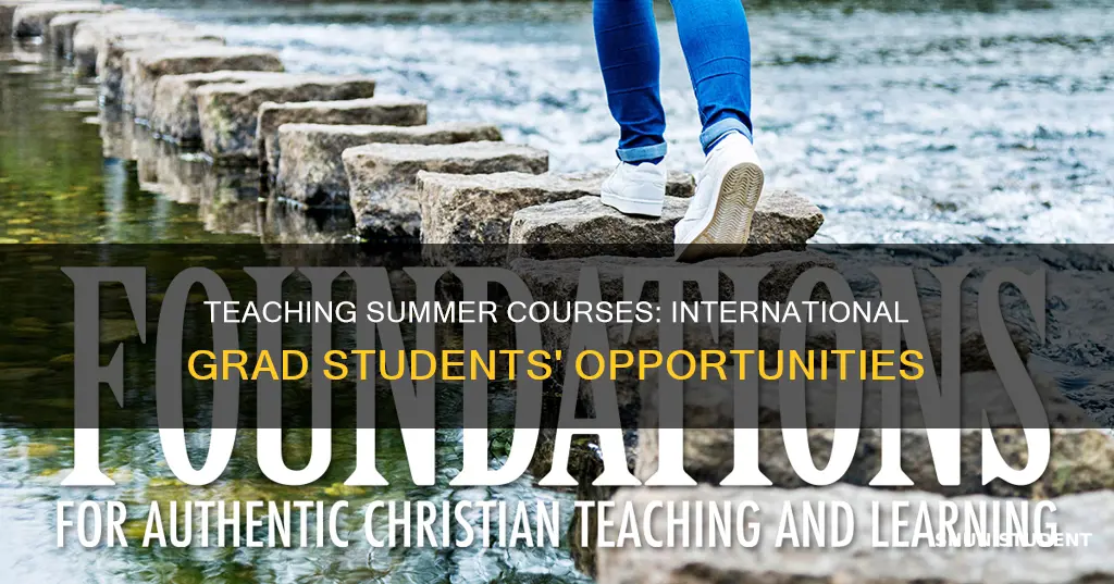 can international graduate students teach summer courses