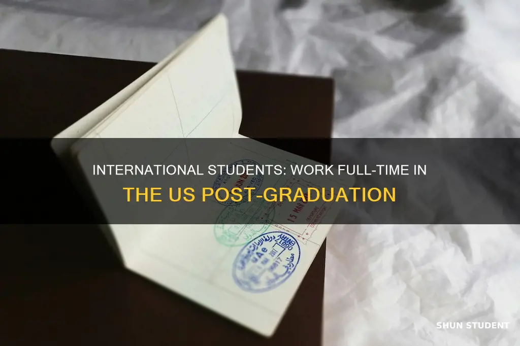 can international graduate students work full time in the us