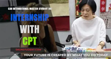 Internships for International Masters Students: Understanding CPT