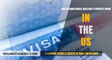 Working in the US: International Masters Students' Guide
