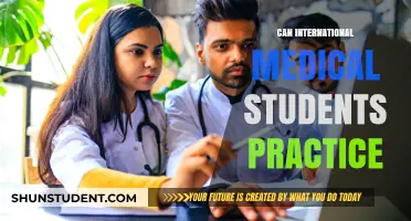 International Medical Students: Practice Opportunities and Challenges