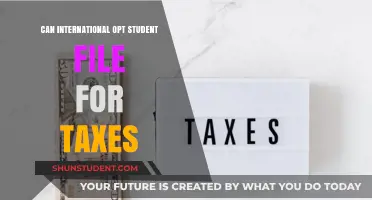 OPT Students: Filing Taxes as an International