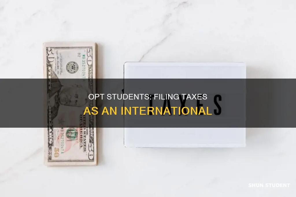 can international opt student file for taxes