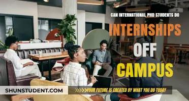 Exploring Off-Campus Internships: International PhD Students