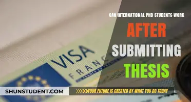 Working Options for International PhDs After Submitting Thesis