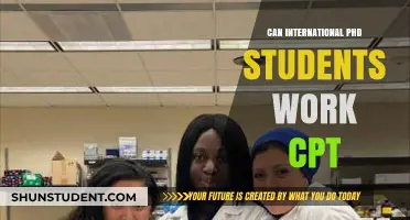Working on CPT: A Guide for International PhD Students