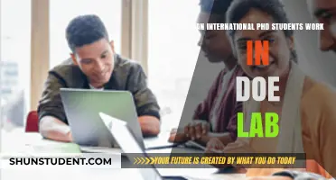 Working in a DOE Lab: International PhD Student Opportunities