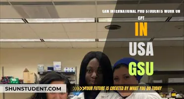 CPT Work Options for International PhD Students in the USA